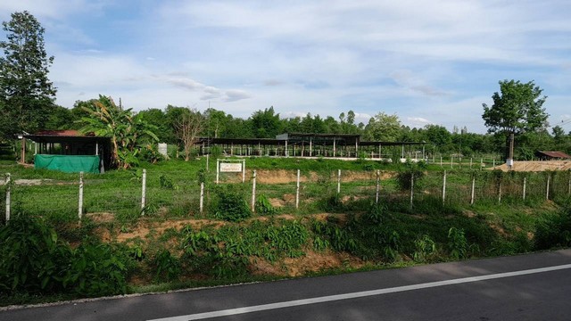 ขายที่ดิน 9ไร่3งาน 3.5ล้านบาท ฟาร์มวัว ทำต่อได้ ต.เวียงตาล อ.ห้างฉัตร ลำปางพืนที่ 9ไร่ 3งาน 0.7 ตรว.ขายราคา 3,500,000 บาท โอนคนละครึ่งเอกสารโฉนดครุฑแดง ติดถนนลาดยาง 2 เลนหน้ากว้างประมาณ 105 เมตร ลึก 144 เมตรพิกัด บ้านสันทราย ต.เวียงตาล อ.ห้างฉัตร ลำปางปัจจุบันทำฟาร์มวัว สามารถทำกิจการต่อได้มีโรงเรือน คอกวัว สระน้ำ ในพื้นที่ถนนหินคลุกเข้าออก รั้วลวดหนาม รอบพื้นที่ใกล้ ถนนซุป