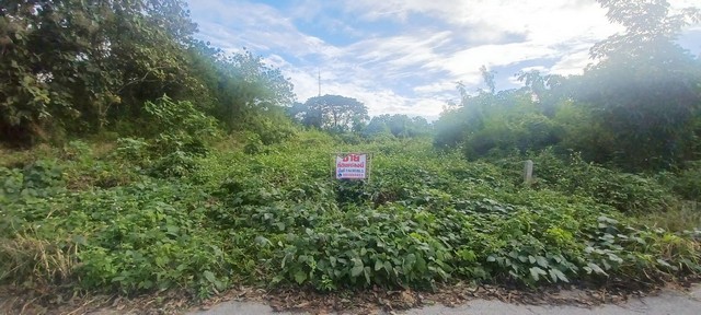 M650510ขายที่ดินทำเลศักยภาพสูง อำเภอเชียงคาน จังหวัดเลยขนาดพื้นที่ 1 งาน 90 ตารางวาราคา 4.5 ล้านบาท???? จุดเด่นของที่ดินที่ดินติดถนนใหญ่ เดินทางสะดวกหน้ากว้างติดแนวริมน้ำโขง ประมาณ 12.50 เมตรความลึกของที่ดิน ประมาณ 56 เมตรอยู่ห่างจากแหล่งท่องเที่ยวชื่อดัง แก่งคุ้ดคู้ เพียง 500 เมตรจากบริเวณใต้อุโมงค์ ผ่านหน้าที่ดิน และต่อเนื่องลงไปทางแม่น้ำโขง ระยะประมาณ 50–60 เมตร เป็�