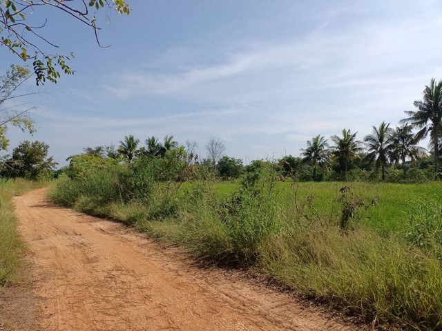 ขายที่ดินทุ่งนา 4ไร่ 1.6ล้านบาท ถนนดิน ไฟฟ้าประปา 1 กม. ต.บุ่งคล้า อ.เมือง ชัยภูมิขายทุ่งนาเนื้อที่ 4 ไร่ 6 ตรว. โฉนดครุฑแดง 2 ใบรวมหน้ากว้าง 121 ม. ลึก 115 ม.ขาย 1.6 ล้านบาท (1,600,000 บาท) ค่าโอนคนละครึ่งถนนดิน ที่ดินอยู่สุดท้ายหมู่บ้านใกล้ไฟฟ้า น้ำประปา ประมาณ 1 กิโลเมตรใกล้ ถนน ชัยภูมิ - สีคิ้ว โกลบอลเฮ้า 2.4 กม.ใกล้ โรบินสันชัยภูมิ 5 กม.ใกล้ อนุสาวรีย์ เจ้าพ่อพญาแล 6.9 กม.*** สนใจสอบถาม ***โ�