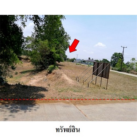ขายที่ดินว่างเปล่า ถนน มิตรภาพ-บ้านคำไฮ (นม.1056) ตำบล นากลาง อำเภอ สูงเนิน จังหวัด นครราชสีมา