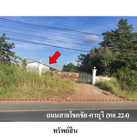   รหัสทรัพย์ (Code ID)  : PMS-3A0256  ราคา   45,683,000    บาท  ▸ เนื้อที่  32 ไร่ 3 งาน 2.0 ตร.ว.   ▸ 10 ห้องนอน 10 ห้องน้ำ    ▸ 10 ที่จอดรถ   บ้านหันไปทางทิศ ตะวันตก  พิกัดทรัพย์ : https://maps.app.goo.gl/G1aYt48xkuYEKy3w8  สถานที่ใกล้เคียง   ▸ใกล้องค์การบริหารส่วนตำบลกระโทก  ▸ใกล้วัดบ้านดอนไพล  ▸ใกล้วัดหนองโพธิ์     สอบถามเพิ่มเติม / นัดชม โทร. 097-419-5982(พลอย) โทร. 096-932-4624(ออมสิน) Line : @panaya (มี@ด้านหน้า)  ปรึกษาสินเชื่อฟรี One Stop Service ดูแลตั้งแต่ต้นจนจบบริ�