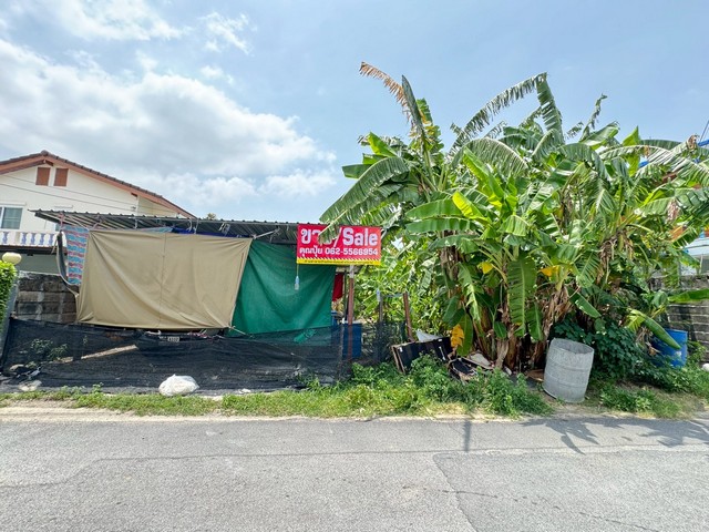 ขายที่ดินเปล่า 72 ตร.ว. ทำเลดีถมแล้วที่เปล่าพุทธมณฑลสาย 2 กรุงเทพต.บางแคเหนือ อ.ภาษีเจริญ กรุงเทพฯกำลังหาที่สร้างบ้านอยู่ใช่ไหม?ที่ดินเปล่า 72 ตารางวา แปลงนี้ตอบโจทย์ - ทำเลชุมชน บรรยากาศสงบ - เหมาะสร้างบ้านพักอาศัย- เข้า-ออกสะดวก เดินทางง่ายราคา 3.25 ล้าน คุ้มค่า เหมาะทั้งอยู่อาศัยและเก็บเป็นสินทรัพย์สอบถามเพิ่มเติม นัดชมติดต่อ Tel : 062 - 5566954 (ปุ้ย)Line ID : 0616649897___________________________________