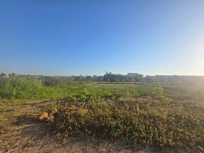 sss522 ขายที่ดินคลอง 1 ซอยเทพกุญชร ที่ตั้ง คลองหลวง คลองหนึ่ง ปทุมธานี 1ไร่ ขายงานละ1.7ล้าน มีถนนทั้งหน้าและหลัง ในซอยรถสวนได้ หน้าซอยคือคลองหนึ่ง หลังซอยติดถนนเลียบคลอง 2ติด หมู่บ้านราชพฤกษ์5 ข้างหน้าและข้างหลังซอยมี 7 ติดพิพิธภัณฑ์การเกษตรฯ ติดคอนโดพรอนันต์ใกล้กรมที่ดินคลองหลวงใกล้ตลาดไทใกล้วัดคุณหญิงส้มจีนใกล้เทศบาลเมืองท่าโขล** เพื่อเป็นการรวดเร็วในกา�