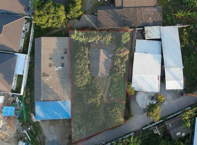 ที่ดินทำเลดี ที่สำคัญน้ำไม่ท่วม 100% ถึงแม้จะอยู่ใกล้แม่น้ำปิง  มีบ้านให้ 1 หลัง รีโนเวทหรือต่อเติม ทำบ้านสวน  หรือ ทำบ้านขายได้ 2 หลัง ที่ดิน โฉนดครุฑแดง 190 ตารางวา บ้านตำหนัก อ.สารภี  ห่างจากวงแหวน 3 เพียง 1 กม.  เดินทางสะดวกซอยไม่ลึก   ห่างจากสนามบินเชียงใหม่เพียง 10 กม.  ใกล้เซเว่น  ตลาดสด  ตลาดนัด 800เมตรขายลดราคาหลุดจอง เพียง  2.5 ล้าน ค่าใช้จ่ายวันโอนคนละครึ่ง  สงวนพิก�