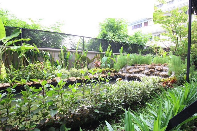 CC1450ให้เช่ากิจการศูนย์ดูแลผู้สูงอายุ ขนาด2ไร่ ใกล้เดอะมอลล์ บางแคแหล่งช้อปปิ้งขนาดใหญ่ เดินทางสะดวกด้วยรถไฟฟ้าสายสีน้ำเงิน##  ให้เช่า ##Please directly contact : K.โบว์  083-782-4962ศูนย์ดูแลผุ้สูงอายุ แบ่งพื้นที่ให้เช่า เพื่อประกอบธุรกิจดูแลผู้สูงอายุ และดูแลคนไข้ฟื้นฟูขนาดที่ดิน 2 ไร่พื้นที่ใช้สอย 1,200 ตรารงเมตร จำนวนเตียง 80 เตียง ห้องรวม 4 เตียง ห้องรวม 2 เตียง มีทีมพยาบาล ผู้ช่วยพย