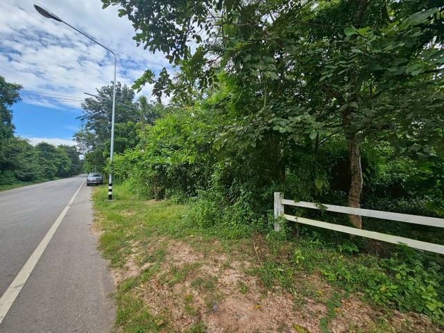 ขายที่ดิน อำเภอกันทรวิชัย มหาสารคาม ติดถนนหลักราดยาง อำเภอกันทรวิชัย จังหวัดมหาสารคาม ที่ตั้ง : ตำบลขามเฒ่าพัฒนา อำเภอกันทรวิชัย จังหวัดมหาสารคาม  44150ขนาดที่ดิน : เนื้อที่ 6 ไร่ 3 งาน 75 ตารางวารายละเอียด- เป็นที่ดินเปล่า ติดถนนทางหลวงชนบท- เหมาะแก่การปลูกสร้างที่อยู่อาศัย หรือทำเกษตรกรรม ทำเลดี อยู่ในแหล่งชุมชน - มีบ่อน้ำในที่ดินให้- ไฟฟ้า ปะปา พร้อมใช้งาน- กา�