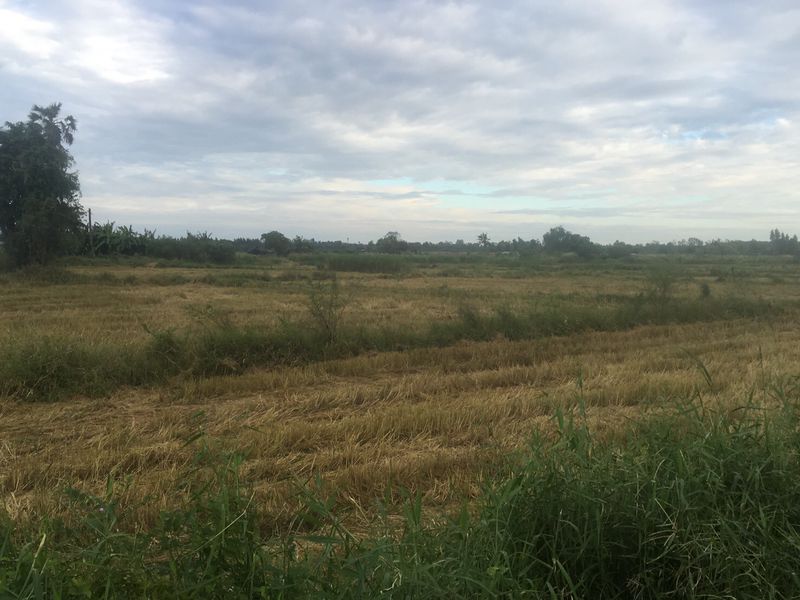 M1211 ที่ดิน 36 ไร่ 2 งาน 92 ตารางวา ซอยบ้านหนองโมก ตำบลนาเริก อำเภอ พนัสนิคม จังหวัดชลบุรี รายละเอียดทรัพย์-ขนาด 36 ไร่ 2 งาน 92 ตารางวา -กว้าง 170 เมตร -ลึก 330 เมตร -ติดคลอง -ใกล้ ถนน 331 -ใกล้แยกเกาะโพธิ์ 650,000 /ไร่ราคาขาย 23,874,500 บาท ค่าโอน 50/50พิกัดแปลง http://maps.google.com/?q=13.4088135849624,101.2585598466 สนใจสอบถามรายละเอียดได้ที่คุณ จิรายุ พุกกะเวส (การ์ตูน)Realty One Estate(Thailand)Co.,Ltd.www.homed4u.comwww.realtyone.co.th(ในสังกัดสมาคมนายหน้าอสังหาริมทรัพ