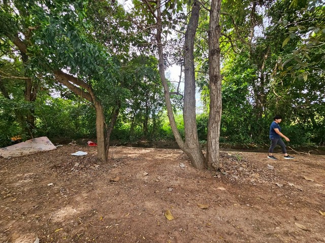 ขายที่ดิน 2ไร่ 2 งาน 42 ตารางวา ใกล้มหาวิทยาลัยมหาสารคามที่ตั้ง : ตำบลท่าขอนยาง อำเภอกันทรวิชัย มหาสารคามที่ตั้ง : ตำบลท่าขอนยาง อำเภอกันทรวิชัย มหาสารคามรายละเอียด- ขายที่ดินเปล่าเนื้อที่ 2 ไร่ 2 งาน 42 ตารางวา- อยู่ใกล้มหาวิทยาลัยมหาสารคาม- ติดสระน้ำสาธารณะ และเป็นทางเดินสาธารณะด้วย- อีกฝั่งเป็นถนนสาธารณะ- เหมาะกับสร้างหอพัก ทำร้านอาหาร ฯลฯ- หรือซื้อไว้เพื่อเ�