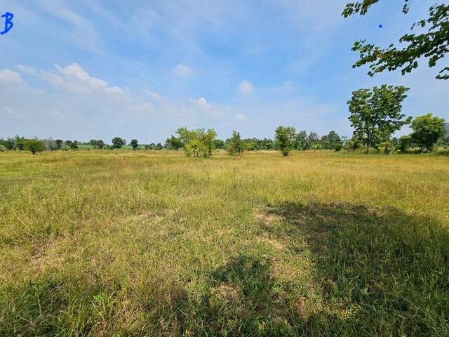 ขายที่ดิน ลำสนธิ-ลพบุรี ตำบลลำสนธิ อำเภอลำสนธิ  จังหวัดลพบุรีที่ตั้ง : ตำบลลำสนธิ อำเภอลำสนธิ  จังหวัดลพบุรี 15190ขนาดที่ดิน : เนื้อที่ 26 ไร่ 86 ตารางวา รายละเอียด- เนื้อที่ 26 ไร่ 86 ตารางวา ( โฉนดพร้อมโอน )- ที่ดินวิวภูเขา บรรยากาศดี ร่มรื่น เป็นธรรมชาติมาก- มีบ่อน้ำในที่ดิน 1 บ่อ- ติดถนนสาธารณะ- ที่สวย ทำเลดี มองเห็นวิวภูเขาล้อมรอบ- เหมาะสำหรับทำเป็นที่ดินการเกษตร รีสอร