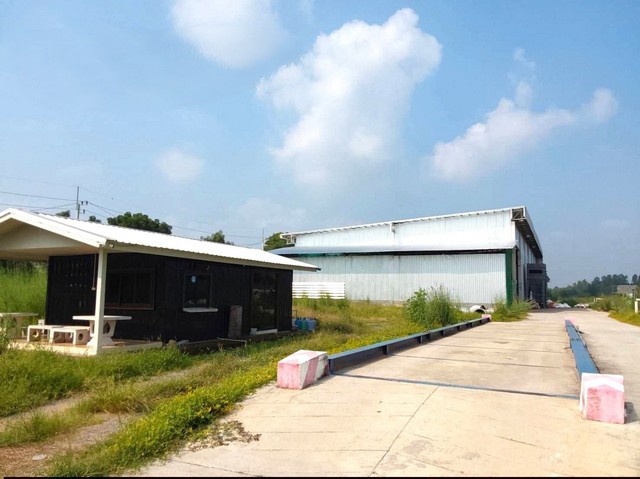 #ขายโรงงานเกาะจันทร์ชลบุรี#ขายที่ดินพร้อมโรงงาน/โกดังขนาดใหญ่ 19.8 ไร่ ในจังหวัดชลบุรี????พื้นที่สีส้ม????ท่าบุญมี เกาะจันทร์ชลบุรี✅รายละเอียด:????พื้นที่โรงงาน/โกดัง: 3,980 ตร.ม. โครงสร้างแข็งแรง พร้อมใช้งานทันที????เดิมทำกิจการไม้แปรรูป???? เครื่องชั่งน้ำหนักขนาด 100 ตัน ???? อาคารสำนักงานใหญ่ 2 ชั้น???? บ้านพักคนงาน???? บ่อน้ำพร้อมใช้งาน???? ป้อมยาม พร้อมรั้วป้องกัน???? ห้องน้ำสาธา�