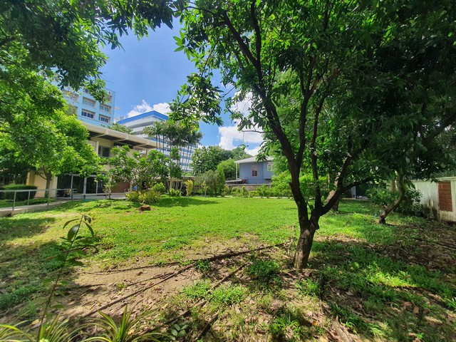 ขายที่ดินงามวงศ์วาน ซอยทิมแลนด์ แปลงสี่เหลี่ยมสวย เนื้อที่ 1-0-14ไร่ - พร้อมบ้าน 2 ชั้น ขนาด 6 ห้องนอน 4 ห้องน้ำ - ตำแหน่งที่ดินอยู่ในทำเลย่านความเจริญ การเดินทางสะดวก บรรยากาศดี - ผังเมืองสีส้ม ย.6 นนทบุรี (FAR 5:1) ความกว้างประมาณ 34 เมตร ความยาวประมาณ 48.5 เมตร - เหมาะสำหรับทำที่พักอาศัย, คาเฟ่, ร้านอาหาร, สำนักงาน, อพาร์ทเม้นท์, คอนโดมิเนียม ฯลฯ *ขายเพียง 48,732,354 บาท*สนใจติดต่อคมก�