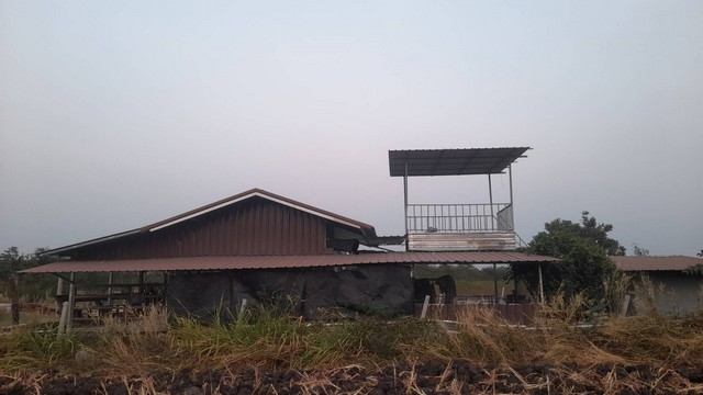 ขายที่ดินพร้อมบ้านสวน อำเภอพัฒนานิคม จังหวัดลพบุรี เนื้อที่ 3 ไร่ 3 งาน 29 ตารางวา#รายละเอียดและที่ตั้งทรัพย์-บ้านพร้อมที่ดินเนื้อที่ 3 ไร่ 3 งาน 29 ตารางวา-ตัวบ้าน มีจำนวน 1 ห้องนอน พร้อมแอร์ 12,000 BTU-มีห้องน้ำแยกจากตัวบ้าน-พร้อมโรงเรือนเลี้ยงสัตว์ขนาดกว้าง 16 เมตรยาว 24 เมตร-ตั้งอยู่ตำบลพัฒนานิคม อำเภอพัฒนานิคม จังหวัดลพบุรี-ห่างจากเขื่อนป่าสักชลสิทธิ์ประมาณ 11 กิโลเ�