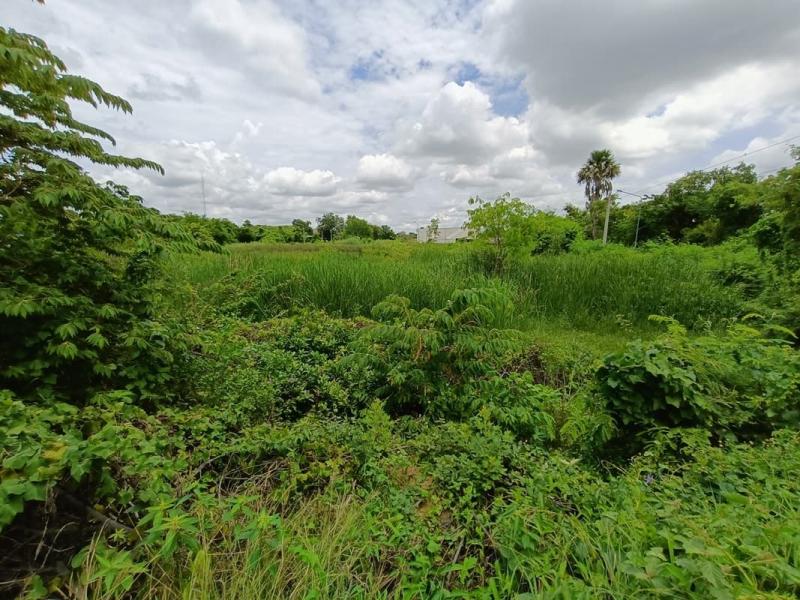 ขายที่ดินเปล่า ทำเลใจกลางเมืองสุพรรณบุรีเนื้อที่ 400 ตารางวา | หน้าแปลงติดถนน | พื้นที่ชุมชนที่ตั้ง ถนนดอนจันทร์ ตำบลรั้วใหญ่ อำเภอเมืองสุพรรณบุรี จังหวัดสุพรรณบุรีพิกัดที่ดิน https://maps.app.goo.gl/sLEp1wbRCg5d2wNK6?g_st=icจุดเด่นที่น่าสนใจที่ดินเปล่าแปลงสวย หน้าแปลงติดถนน เข้าออกสะดวกอยู่ในเขตชุมชน ใจกลางเมืองสุพรรณบุรีเหมาะสำหรับสร้าง บ้านอยู่อาศัย / อพาร์ตเมนต์ / ที่พักให้เช่า