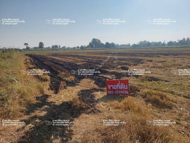 ขายที่ดินเพื่อการเกษตร อำเภอบรรพตพิสัย จังหวัดนครสวรรค์ เนื้อที่ 12 ไร่#รายละเอียดและที่ตั้งทรัพย์-ที่ดินขนาด 12 ไร่-ตั้งอยู่ตำบลตาสัง อำเภอบรรพตพิสัย จังหวัดนครสวรรค์-ใกล้ชุมชนวัดดงป่าจันทร์-ห่างจากตัวอำเภอบรรพตพิสัย 6 กิโลเมตร-ห่างจากอำเภอขาณุวรลักษณ์ 20 กิโลเมตร#เหมาะสำหรับทำการเกษตร ที่สวยมาก น้ำไม่ท่วม**ราคาเพียง 100,000 บาทต่อไร่ รวม 12 ไร่ 1.2 ล้านบาท#สนใจติ�