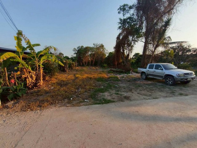 ขายที่ดินห้วยใหญ่ พัทยา ชลบุรี ใกล้ หาดจอมเทียน เนื้อที่  1 ไร่ ที่ดิน ขายถูกมากๆๆ#ขายที่ดินห้วยใหญ่ 1 ไร่ ***ราคาดี มากๆ 5.2 ล้าน 1 ไร่ เต็มๆขึ้นหมู่ บ้านได้ ที่สวยๆ ใกล้ทางรถไฟใกล้ หาดจอมเทียน ราคาแบบนี้ หาไม่ได้ แล้ว เก็บไว้ก็ได้กำไรสนใจติด ต่อ 0946497143ขายที่ดินห้วยใหญ่ พัทยา ชลบุรี ใกล้ หาดจอมเทียน เนื้อที่  1 ไร่ ที่ดิน ขายถูกมากๆๆ#ขายที่ดินห้วยใหญ่ 1 ไร่ ***ราคาดี มากๆ 