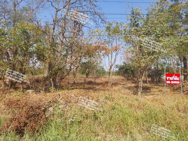 ประกาศขายที่ดิน อำเภอลาดยาว ตำบลลาดยาว บ้านคลองสาลีเนื้อที่ 2 ไร่ 84 ตร.วราคา 3,000,000 บาท* ห่างจากอำเภอลาดยาว 4 กิโลเมตร* ห่างจากตลาดศาลเจ้าไก่ต่อ 6 กิโลเมตร*ถนนสายลาดยาว-คลองลาน* มีเพื่อนบ้านอยู่แหล่งชุมชน* ติดถนนลาดยาง*ใกล้สวนสาธารณะเฉลิมพระเกียรต* ที่สวยมาก หน้ากว้าง* เหมาะสำหรับทำธุรกิจ* ราคานี้หายากแล้ว* สนใจนัดชมติดต่อ คุณเอ๋ 085-284-9656 เบอร์นี้เท่านั้นID Line :amphol.agent