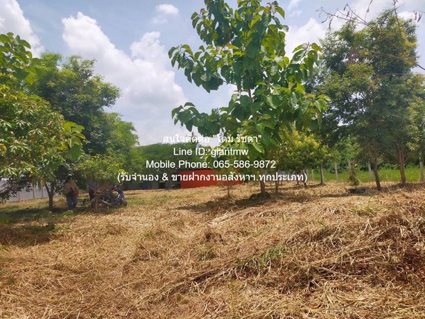 DSL-709สนใจติดต่อ: โดม รัชดา (Exclusive Contract)โทร: 065-586-9872ไลน์ไอดี: 0655869872 หรือ giantmw หรือ @yem0202nFacebook: https://bit.ly/3vdegO8Fanpage: https://bit.ly/488TrlD.ขายที่ดินเปล่า 1-0-14.5 ไร่ (414.5 ตร.ว.) ซ.สุวินทวงศ์ ใกล้สนามกอล์ฟฟินิกซ์ โกลด์ กอล์ฟ แบงค็อก, ราคา 5.5 ล้านบาท.รายละเอียดทรัพย์: 1. ขายที่ดินเปล่า 1-0-14.5 ไร่ (414.5 ตร.ว.) ซ.สุวินทวงศ์ ใกล้สนามกอล์ฟฟินิกซ์ โกลด์ กอล์ฟ แบงค็อก (Phoenix Gold Golf Bangkok)2. ที่ดินหน้ากว้าง 28 ม. มีความลึก 59 ม. และมีถนนทางสาธารณะประโย�