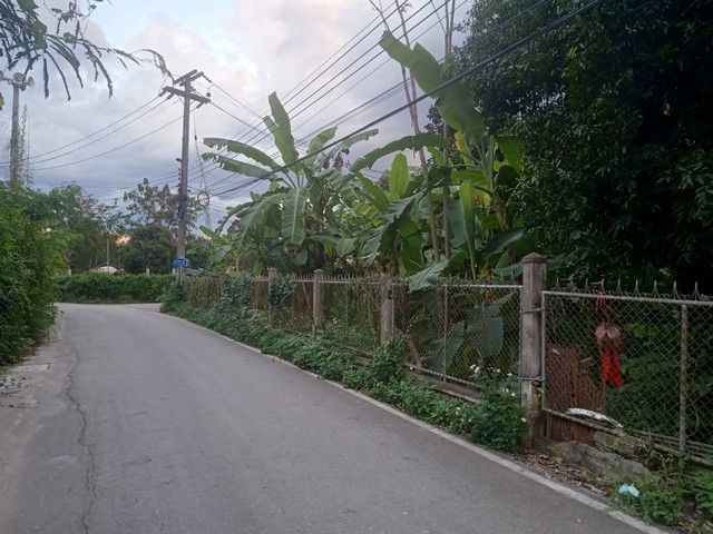 ขายที่ดิน 451ตรว. ลดเหลือ 8ลบ. มีรั้วรอบ ถนน น้ำประปา ไฟฟ้า เยื้องปั๊ม ปตท.ถนนต้นยาง ต.หนองผึ้ง อ.สารภี เชียงใหม่ขายที่ดิน เนื้อที่ 451ตรว. เอกสารโฉนดครุฑแดง พร้อมโอน ไม่ติดภาระจำนองขายลดราคา 8,000,000 บาท ลดสุดแล้ว ขอผู้ซื้อออกค่าโอนทั้งหมดที่ดินติดถนนลาดยาง 2 เลน รถสวนกันได้สบายที่ดินหน้ากว้างประมาณ 48 เมตร ลึก 47 เมตรล้อมรั้วทุกด้านเรียบร้อยมีบ้านเก่าชั้นเดียว ไม่มี�