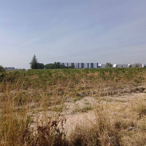 TEL : 092-288 9359 คุณดนิตาLine : https://line.me/ti/p/yxo92dHWP1รายละเอียด : เนื้อที่ขนาด 95-1-21.1 ไร่  (38,121.1 ตรว.)น้ำไฟ 3 เฟสหน้าเเปลงติดถนน 2015/225 เมตรถนน 2 ด้านราคาขายไร่ละ 5.5 ลบ. ราคาตารางวาละ 13,750 บาท ราคาขายยกแปลง 524,165,125 ลบ.สถานที่ใกล้เคียง : - ใกล้นิคมอมตะซิตี้ นอกนิคม- ท่าเรือเเหลมฉบัง38กม.- นิคมมาบตาพุด39กม.- สนามบินอู่ตะเภา47กม.F-A4 