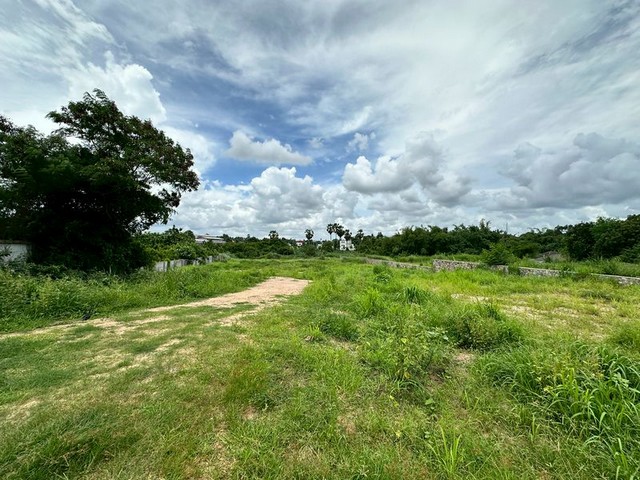 TEL : 092-288 9359 คุณดนิตาLine : https://line.me/ti/p/yxo92dHWP1ที่ดินเปล่า ศรีราชา  หนองขาม ใกล้กับวัดเขาดิน ชลบุรี    ราคาถูกมากกกกก สร้างที่พักอาศัย หรือจะทำหอพักก็ได้รายละเอียด : ขนาดที่ดิน 2 ไร่  (800 ตารางวา)หน้ากว้างติดถนนสาธรณะ 37 เมตรด้านหลังเป็นคลองสาธรณะที่ดินเป็นสี่เหลี่ยมสวยงามอยู่ใกล้กับ บริษัท Yusen ศรีราชา(สามารถสร้างโกดัง,คลังสินค้าได้)หรือทำหอพักได้ เพราะว่าข้างเคียงประกอบไปด้�