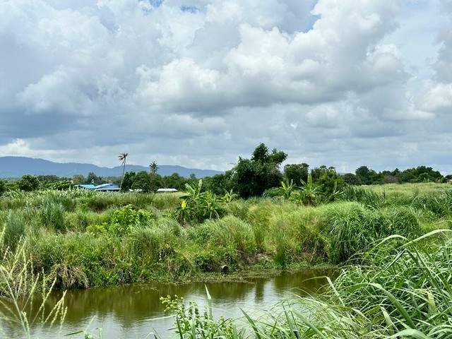 TEL : 092-288 9359 คุณดนิตาLine : https://line.me/ti/p/yxo92dHWP1รายละเอียด : ขนาดที่ดิน 12- 2-57 ไร่  (5,057 ตรว.)หน้ากว้างติดถนนสาธรณะ 270 เมตรที่ดินเป็นสามเหลี่ยมด้านหลังติดคลองสาธรณะ (สามารถสร้างโกดัง,คลังสินค้าได้)ไฟฟ้าและปะปาพร้อมแล้วราคาไร่ละ 3.8 ลบ.ราคาตารางวาละ 9,500 บาท ราคาขายยกแปลง 48,041,500 ลบ. (ต่อรองได้)ค่าโอน50/50ติดเส้นหลัก (ศรีราชา-หนองค้อ 41/3) สามารถทะลุไปถนนเลียบอ่างเก็บน้ำได้- ใกล้สวนเสือศรีราชา- ใกล