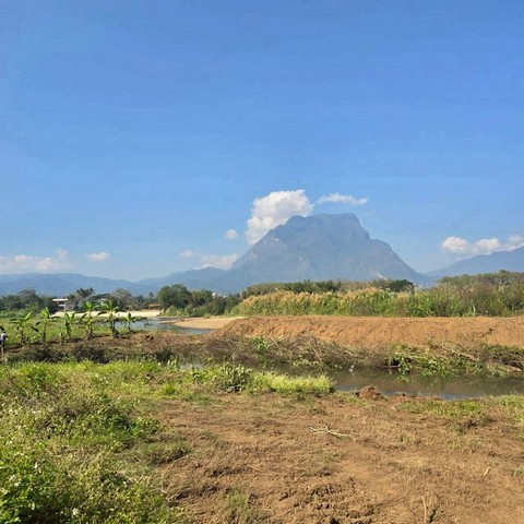  ขายยกแปลง 2.8 ล้าน/ไร่ เนื้อที่ 4 ไร่ 2 งาน ทำเลดี เชียงดาว