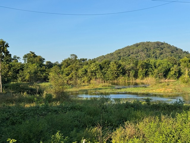 ที่ดิน ติดภูเขา โพธาราม จังหวัด ราชบุรีราคาเพียง : 4,990,000.-โฉนดครุฑแดง ทิศใต้ : หน้าหัน 180° ขนาดพื้นที่ 10 ไร่ 2 งาน 35 ตารางวาMap: https://www.google.com/maps/search/?api=1&query=13.770232,99.6533สถานที่ใกล้เคียง :ครัวลุงรงค์วัดเขาชะงุ้มติดริมถนน เขาชะงุ้ม อ.โพธาราม จ.ราชบุรีรหัสทรัพย์ :  S000017สนใจติดต่อสอบถาม/นัดชมCALL: 096-663-9145Line OA : @disayapropertyhttps://lin.ee/OsL6D1JWhatsApp : 0966639145E-Mail: disayaproperty@gmail.com Website: Disaya Property——————————————————ช่องทางการติดตาม :Facebook: https://www.facebook