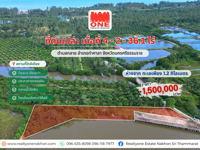 ที่ดินเปล่าแปลงใหญ่ ใกล้ทะเล อ.ท่าศาลา เนื้อที่ 4-2-36.1 ไร่ | บรรยากาศธรรมชาติ เหมาะทั้งอยู่อาศัยและลงทุนพัฒนาเป็นร้านอาหาร จัดทำลานแคมป์ปิ้ง หรือคาเฟ่ธรรมชาติ ราคาเพียง 1,500,000 บาท เท่านั้นที่ตั้ง : ถ.ท่าหิน–พังปลิง ต.กลาย อ.ท่าศาลา จ.นครศรีธรรมราชบรรยากาศเงียบสงบ เป็นส่วนตัว รายล้อมด้วยธรรมชาติห่างจากทะเลเพียงประมาณ 1.2 กิโลเมตร  เหมาะลงทุนพัฒนาเป็นร้านอาหาร คา�