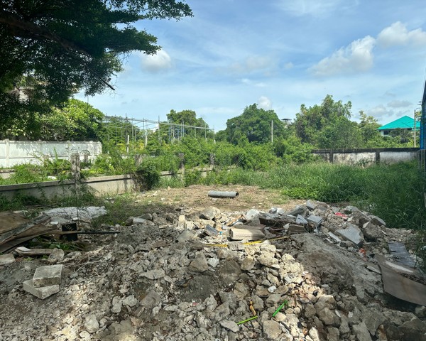 ขายที่ดินพัฒนาการ ขนาด 62 ตารางวา ถมแล้วติดถนนหลักของซอย ถนนกว้างกว่า 8 เมตร ทำเลและสภาพแวดล้อมดี สะอาด สงบ ร่มรื่น ปลอดภัย เดินทางสะดวก สาธารณูปโภคครบครัน เหมาะสร้างบ้าน สำนักงาน ฯลฯ*ราคาเพียง 4.25 ล้านบาท*สนใจติดต่อ คมกฤช : 084-446-5959Line : kloveee*▪️ใกล้โรงเรียนเตรียมอุดมพัฒนาการ, ปาณยา, โรงเรียนนานาชาติคินเคด, ไบรท์ตัน ▪️ใกล้มหาวิทยาลัย  ABAC, ลาดกระบัง, รามคำแหง, เกษมบัณฑิต▪️�