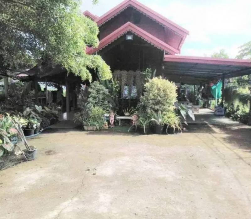 ขายที่ดินทำเลดี 2 ไร่ 3 งาน เจ้าของขายเอง คลอง13 หนองจอก ฝั่งตะวันออก   กทมที่ตั้ง : 3/3 หมู่ 9 ถนนวัดใหม่ฯเจริญราษฏร์ ( คลอง13 หนองจอก ฝั่งตะวันออก ) แขวง คลอง 12 เขตหนองจอก กทมขนาดพื้นที่ :  2 ไร่ 3 งานรายละเอียดเอกสารสิทธิ์โฉนดครุฑแดง มีรั้วรอบครอบชิด เจ้าของขายเองบ้านสไตล์บ้านทรงไทย  3 ห้องนอน 3 ห้องน้ำ สไตล์บ้านสวนเกษตรพอเพียงมีบ่อปลามีเล้าไก่ ธรรมชาติดีมากติดทุ่งนาแ