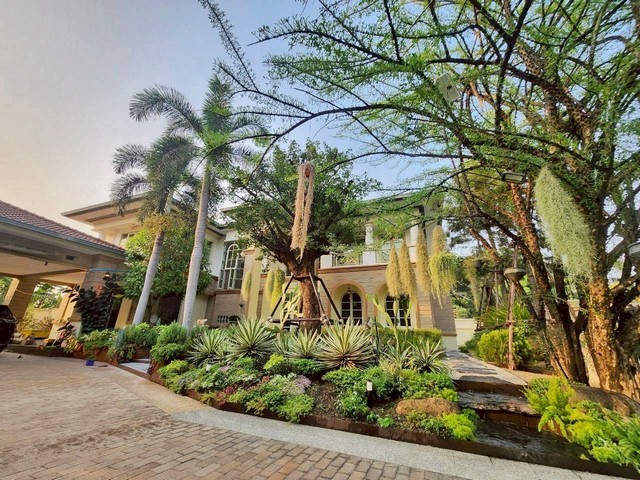 ขายบ้านเดี่ยวหรู หลังมุม ลดาวัลย์ ปิ่นเกล้าเพชรเกษม 190 ตร.วา  ต้นโครงการ  รีโนเวทใหม่  ใกล้โรงเรียนนานาชาติ