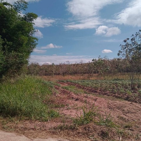 ขายที่ดินหนองเสือช้าง หนองใหญ่ ชลบุรี แปลงสวย ราคาดี FP-L01601 