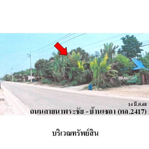 ขายบ้านเดี่ยว ถนน สายนาพระชัย-บ้านเซกา (ทล.2417) ตำบล เซกา อำเภอ เซกา จังหวัด บึงกาฬ