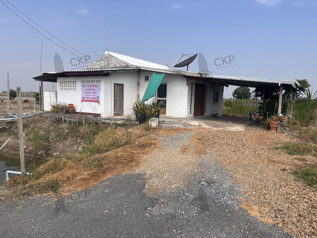 ขาย ที่ดินพร้อมบ้าน ใกล้ม.เกษตร กำแพงแสน ใกล้โลตัส กำแพงแสน ไม่ไกลจากตัวเมืองนครปฐม ต.สระสี่มุม อ.กำแพงแสน นครปฐม สนใจติดต่อสอบถามได้ค่ะรายละเอียด (Description)- ขนาด 2 ไร่- พื้นที่ใช้สอย 100 ตร.ม.- 2 ห้องนอน 1 ห้องน้ำการเดินทาง - ถนนหมายเลข 3232  1 กิโลเมตร- ถนนปทุมธานี-บางเลน  4.1 กิโลเมตร- ถนนมาลัยแมน  11.3 กิโลเมตรสถานที่ใกล้เคียง (Nearby Placess)- โรงเรียนวัดราษฎร์วราราม  950 เมตร- วัดสระสี่มุม ก