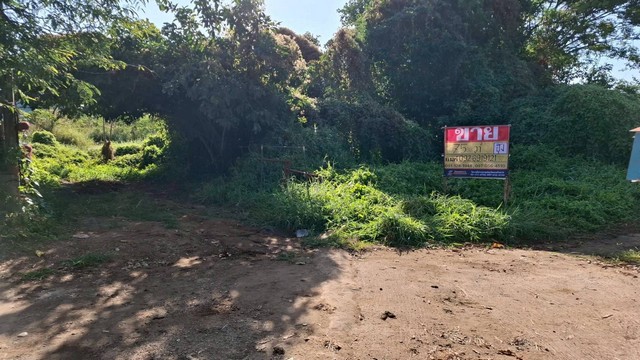 ขายที่ดิน 75 ตร.วา. ซอยมโนรม3  เมืองเก่า ขอนแก่น   ZE602