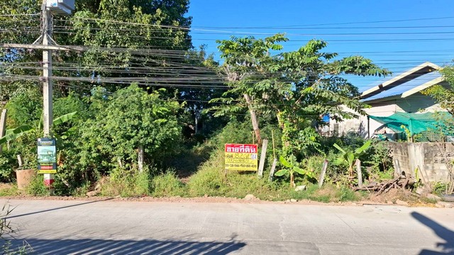 ขายที่ดินสวยติดหัวมุมถนน 82 ตร.วา. ซ.กลางเมือง 5 หลังไทยฟู๊ดเมืองเก่า   เมืองขอนแก่น   ZE845