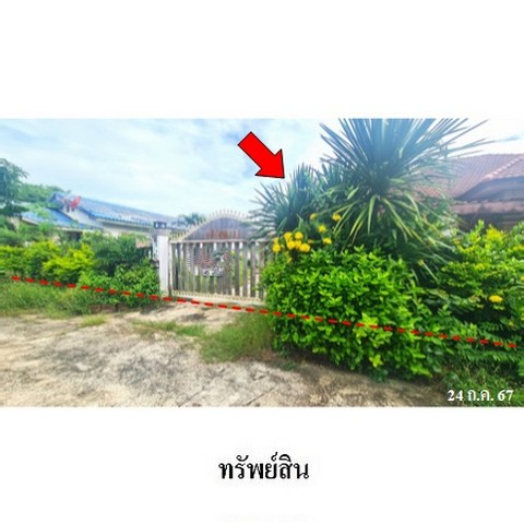 ขายบ้านเดี่ยว ธาดากรีนการ์เด้น ถ.สายบุรีรัมย์-ประโคนชัย (ทล.2445) ตำบล เสม็ด อำเภอ เมืองบุรีรัมย์ จังหวัด บุรีรัมย์