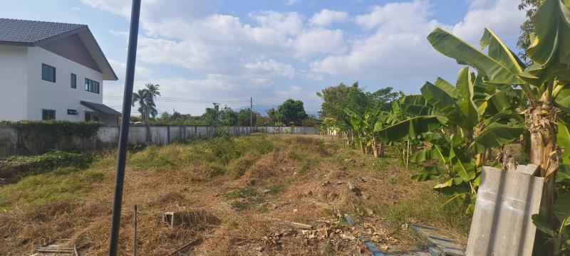  ที่ดินแปลงสวย ติดถนนเส้นหลักบ้านกลาง – ท่าวังตาล สารภี ทำเลศักยภาพฝั่งใต้เมืองเชียงใหม่ โซนที่ราคาขยับขึ้นต่อเนื่องถ้าคุณกำลังมองหาที่ดินสำหรับ ทำโครงการบ้านจัดสรร สำนักงาน บริษัท หรือโชว์รูม โกดัง / โรงงานเบาแปลงนี้ “เหมาะตั้งแต่ซื้อวันแรก” ขนาดใหญ่ ได้รูปสวย เนื้อที่รวม 3 ไร่ 3 งาน 40 ตร.วา หน้ากว้างประมาณ 92 เมตร ความลึกประมาณ 86 เมตรติดถนนหลัก รถใหญ่เข้�