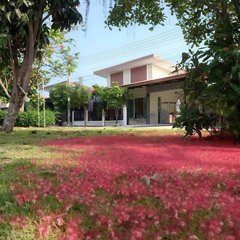 ให้เช่าบ้านเดี่ยวหลังใหญ่พนัสชลบุรี สิรัชชา พาร์ค  ใกล้นิคมอมตะพานทองชลบุรี  เฟส 8,9,10 บ้านอยู่หน้าสวน​บรรยากาศดี