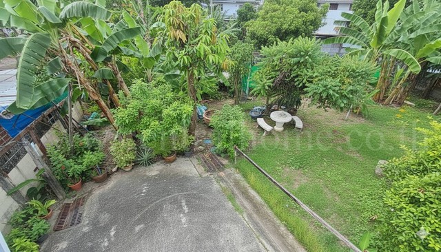 ขายด่วน ที่ดินเปล่า 59.5 ตร.วา ถมแล้ว สุขุมวิท 97/1 ใกล้ BTS บางจาก ราคาถูกมาก