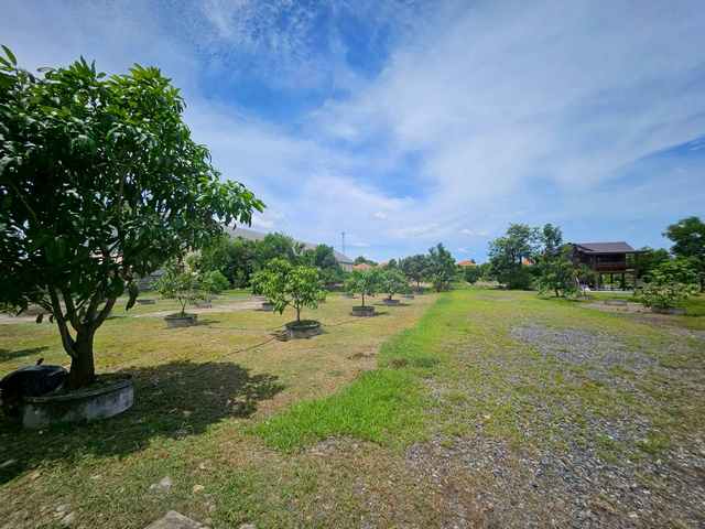 ขายที่ดิน รังสิต คลอง 2 ซอยบงกต 33 คลองหลวง ถมแล้ว แปลงสวย ขนาด 6 ไร่ ราคา 39,000,000ขายที่ดิน พร้อมสิ่งปลูกสร้าง เป็นบ้านไม้ 1 หลัง ถนนคลองหลวง เข้าคลอง 2 เข้าซอยบงกต 33ในพื้นที่ มีบ่อน้ำ 1 บ่อ - ขนาด 6 ไร่ ที่ดินสี่เหลี่ยมผืนผ้า- เหมาะปลูกบ้านทำสวน หรือทำธุรกิจ- หน้ากว้างประมาณ 75 เมตร ลึก 130 เมตร- ตรงข้ามมูลนิธิตะกร้อแห่งประเทศไทยราคาขาย 39,00,000 บาทสอบถามเพิ่มเติมณิชาภา099-6156-6556Line : nich