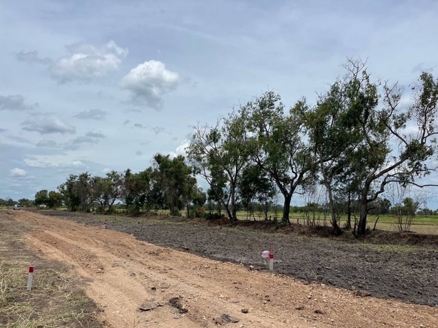 ด่วน! ที่ดินคลอง5 คลองหลวง 1งานเพียง 8.9แสน฿  ใกล้มอเตอร์เวย์1กม สร้างบ้าน ทำโกดังได้  086-301-6161เปิดจองแล้ววันนี้    #ที่ดินคลองห้า คลองหลวง ปทุมธานี   #ใกล้จุดขึ้นลงมอเตอร์เวย์เพียง 1 กมขายด่วน‼ที่ดินสวยทำเลดี (พื้นที่สีชมพู)มีเพื่อนบ้าน สามารถสร้างบ้าน โกดังสินค้า บริษัท ธุรกิจขนส่งได้สะดวกสบาย น้ำไฟพร้อมขยายเขตได้เลย   ขนาด 100 - 200 ตารางวา   โฉนดครุฑแดงขนาด 100 ตารางวา 890,000 