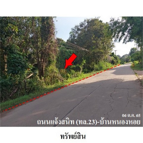 ขายที่ดินว่างเปล่า ถนน แจ้งสนิท (ทล.23) ตำบล เขื่องคำ อำเภอ เมืองยโสธร จังหวัด ยโสธร