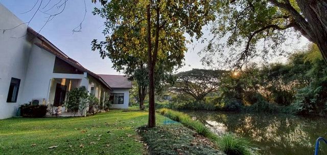 โซนแม่ริม บ้านเดี่ยวหรูให้เช่า 100,000 บาท/เดือน หลังใหญ่ พื้นที่กว้างบรรยากาศรีสอร์ท ร่มรื่น #ติดน้ำ #เฟอร์นิเจอร์ครบ พร้อมเข้าอยู่