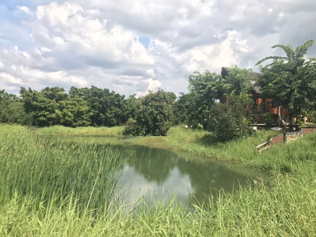 ขายที่ดินเหมาะปลูกบ้านหรู ในโครงการกฤษดานคร 20ถนนบรมราชชนนี ก่อนถึงพุทธมณฑลสาย 3 ใกล้บุญถาวร เพื่อการพักผ่อน บรรยากาศดีมากๆ ร่มรื่นด้วยต้นไม้เดินทางเข้าเมืองสะดวกด้วยสะพานลอยฟ้าถึง สิรินทร-ปิ่นเกล้า-ราชดำเนินจุดเด่นของเรา-เข้าออกสะดวกได้หลายทางคือ พุทมณฑลสาย 2 ,ถนนบรมราชชนนี ,พุทมณฑลสาย 3-เป็นโครงการขนาดกว่า 1,000 ไร่ มีพื้นที่สีเขียวมาก ร่มรื่น ฟอกอากาศ�