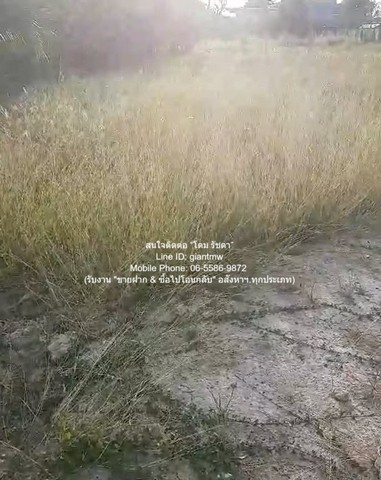 พื้นที่ดิน ขายที่ดินเปล่าถมแล้ว 200 ตร.ว. ติดถนนพุทธมณฑลสาย 1 ราคา 30,000,000 บาท (150,000 บาท/ตร.ว.)  30000000 บาท. ใกล้ สายใต้เซ็นเตอร์ บรรยากาศส่วนตัว เป็นที่ดินเปล่า ทรงสี่เหลี่ยมผืนผ้า ติดถนน ที่ตั้งอยู่ในบริเวณชุมชนที่มีสิ่งอำนวยความสะดวกโดยรอบ