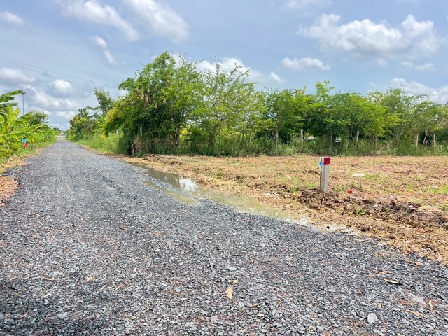 ที่ดินผ่อนได้5ปี คลอง4คลองหลวง ใกล้ถ.เลียบมอเตอร์เวย์100ม. T. o86-3ol-6l6lสอบถาม/นัดเยี่ยมชม T.วรุณรัตน์ 086-301-6161   o86-3ol-6l6l***ที่ดินคลอง4คลองหลวง  ผ่อนได้5ปี ไม่เช็คเครดิต เข้าจากถ.เลียบมอเตอร์เวย์แค่100เมตร *** #ที่ดินสวยคลองสี่ คลองหลวง ปทุมธานี ห่างถนนเลียบมอเตอร์เวย์ เพียง 100 เมตร คลองซอยที่สี่ฝั่งตะวันตก ที่ดินสวยทำเลดี เดินทางสะดวกไฟฟ้าประปาครบ ถนนสาธารณะหน้าแปลงหน้าแปลงหัน�