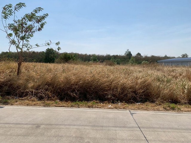 ขายที่ดินศรีราชา เขาคันทรง แปลงสวย ใกล้นิคมโรจนะบ่อวินสอง FP-L01622 