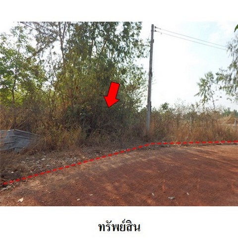 ขายที่ดินว่างเปล่า ถนน สายเลิงนกทา-ยโสธร (ทล.2169) ตำบล สวาท อำเภอ เลิงนกทา จังหวัด ยโสธร