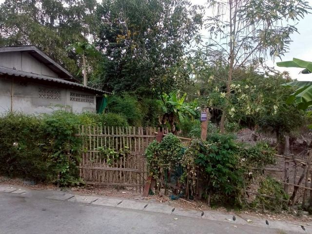 ขายที่ดินทำเลดี เพียง 1.2 ล้าน 113 ตรว. #บ้านแหวน – #หางดง เชียงใหม่ ทำเลศักยภาพ เดินทางสะดวก เหมาะทั้งปลูกบ้านอยู่อาศัยหรือเก็งกำไรในอนาคต